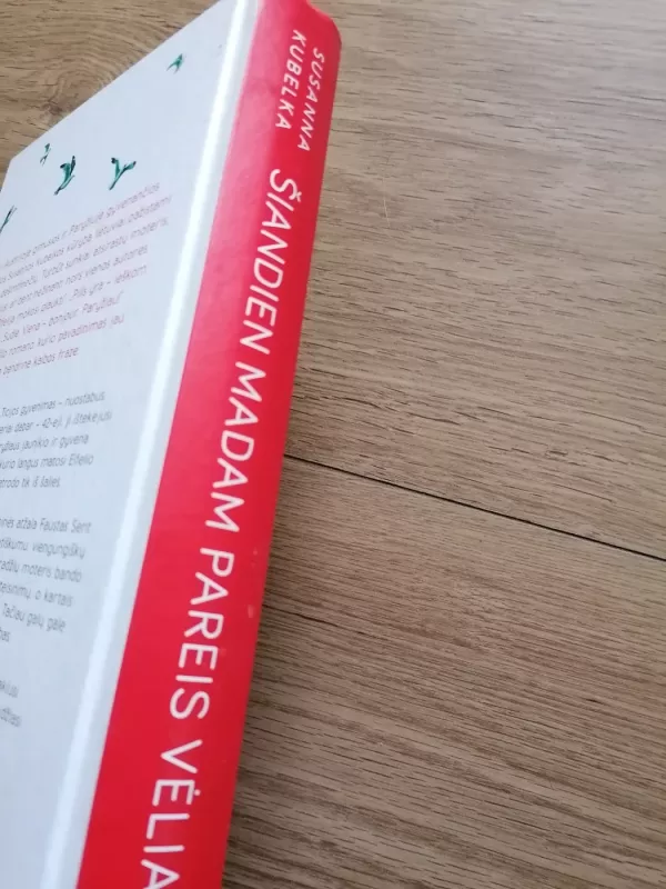 Šiandien madam pareis vėliau - Susanna Kubelka, knyga 6