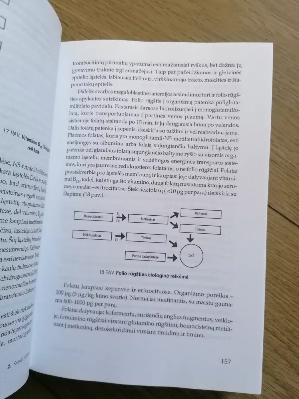 Vaikų ligos 2 tomas - Algimantas Raugalė, knyga 4