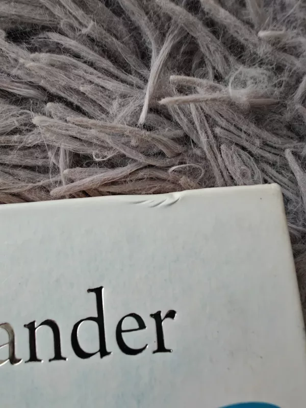 Gyvas dangaus įrodymas - Eben Alexander, knyga 3