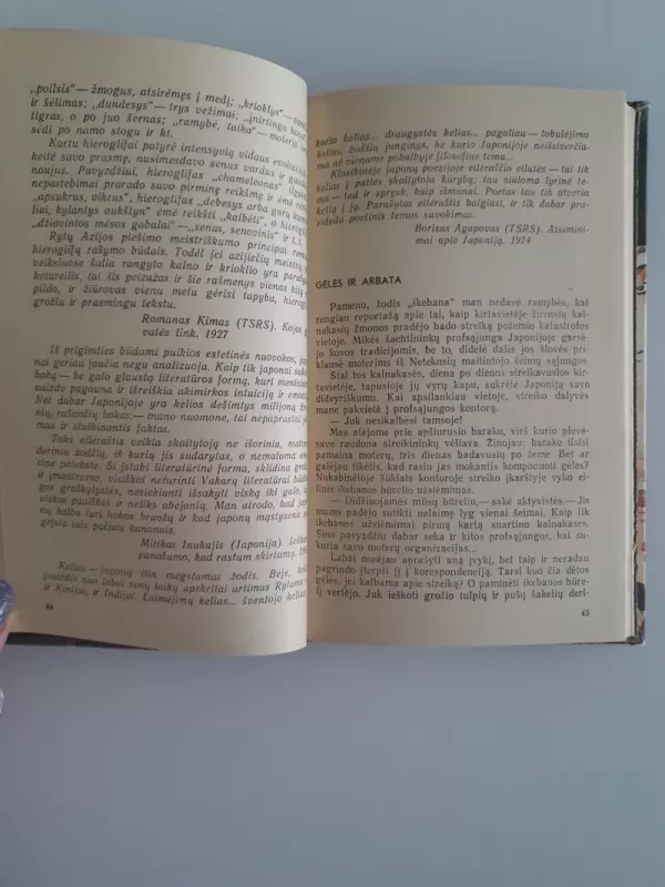 Sakuros šakelė - Vsevolodas Ovčinikovas, knyga 4