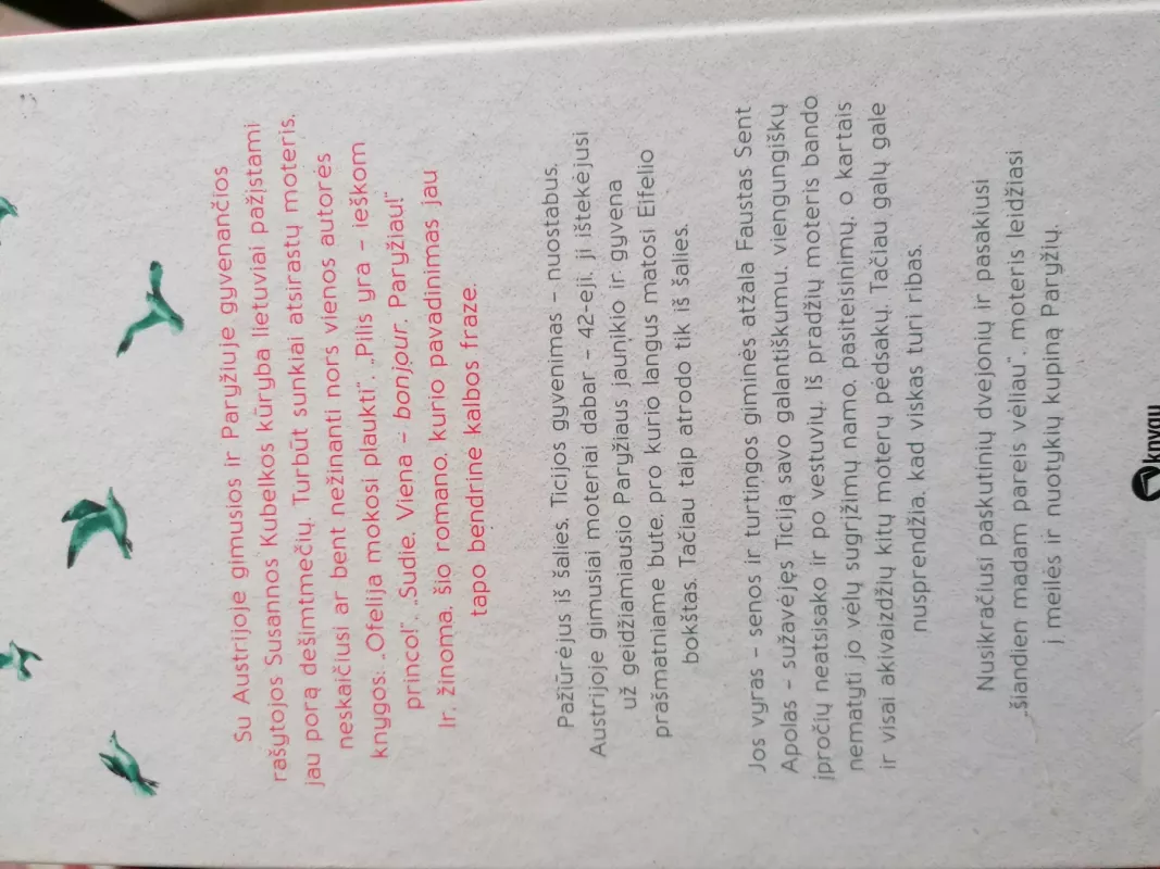 Šiandien madam pareis vėliau - Susanna Kubelka, knyga 5