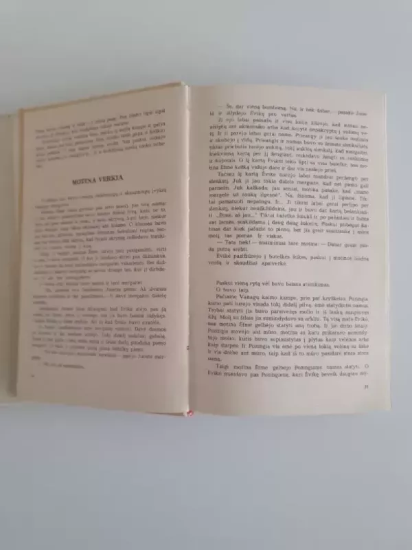 ...O buvo taip - Ieva Simonaitytė, knyga 4