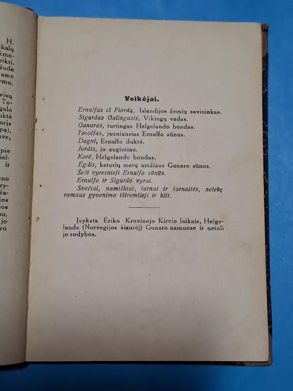 Helgelando kovotojai - H. Ibsenas, knyga 4