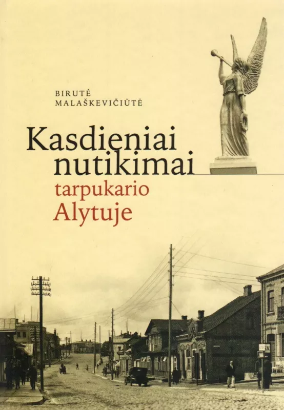 Kasdieniai nutikimai tarpukario Alytuje - Birutė Malaškevičiūtė, knyga 2