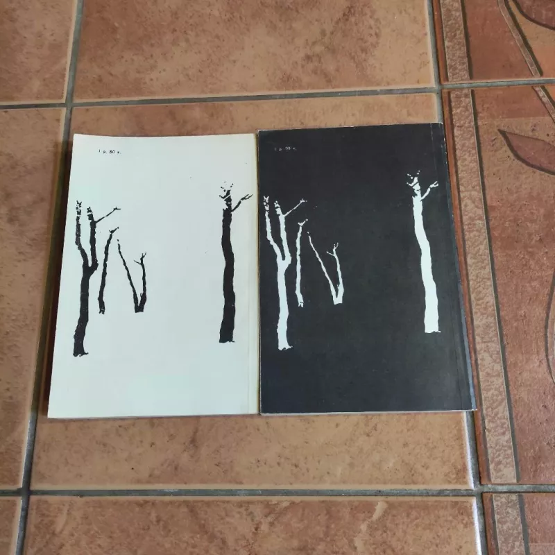 Doktor Zhivago - Boris Pasternak, knyga 3