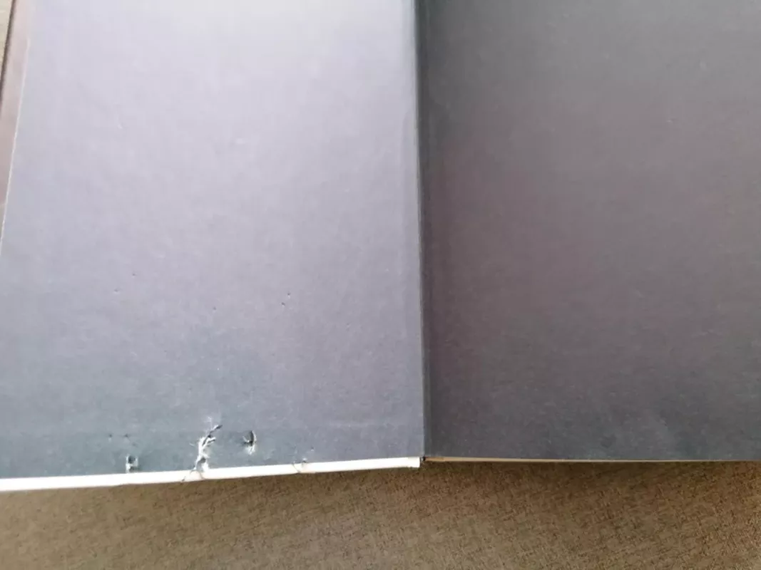 Kvėpavimas į marmurą - Laura Sintija Černiauskaitė, knyga 3