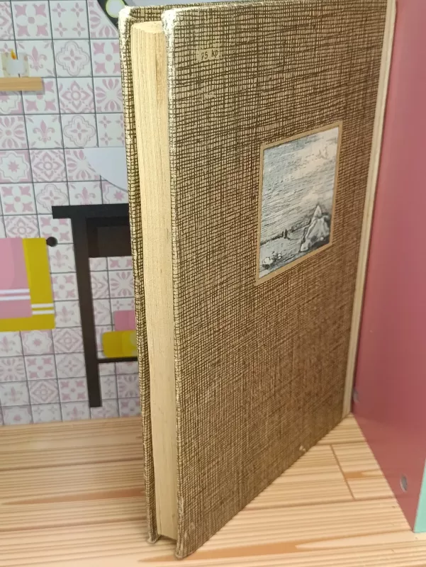 Sanikovo Žemė - Vladimiras Obručevas, knyga 3