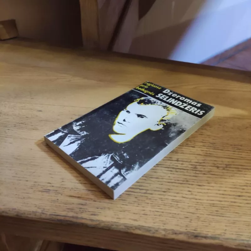 Rugiuose prie bedugnės - Džeromas Selindžeris, knyga 6