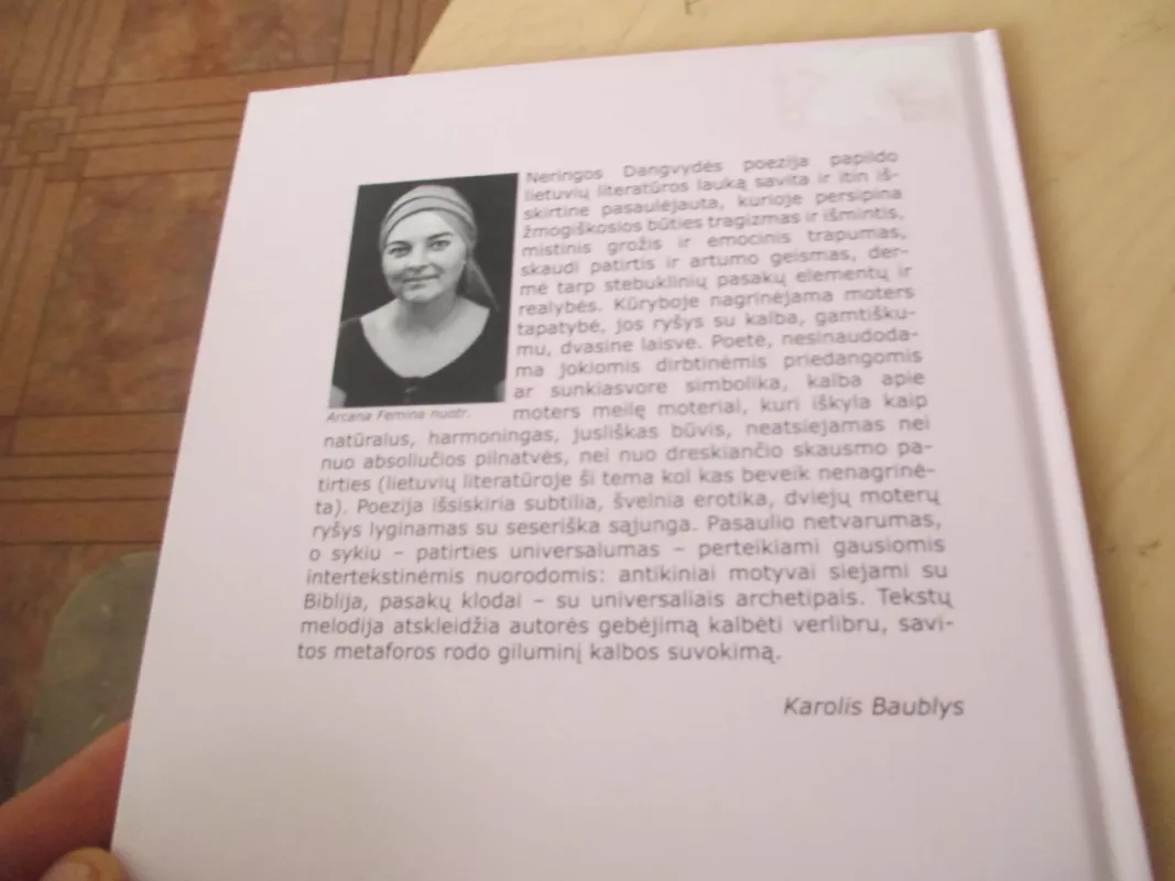 Kiaukuto nešėja - Neringa Dangvydė, knyga 4