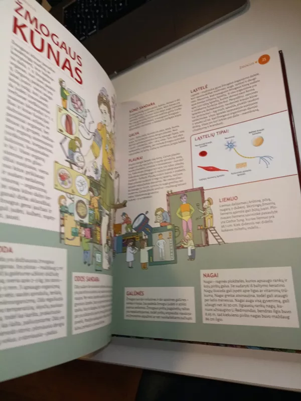 Aš ir pasaulis - Danguolė Kondratienė, knyga 6