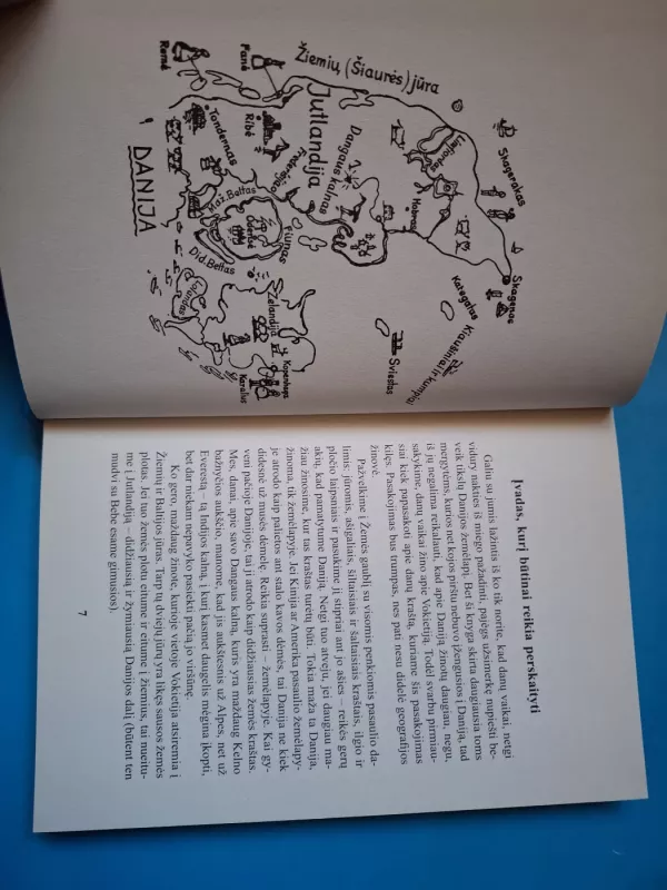 Bebė - Karina Mikaelis, knyga 4