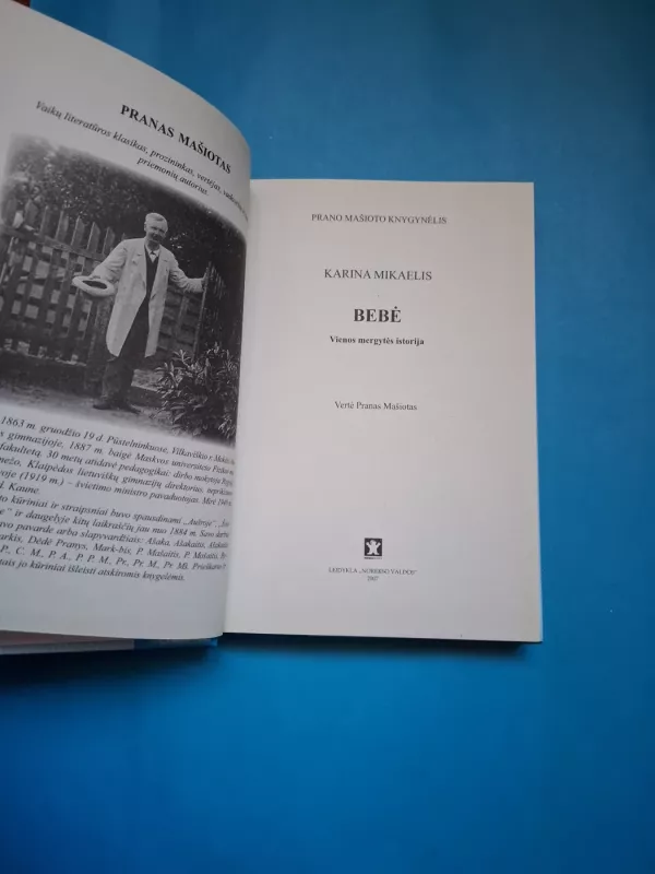 Bebė - Karina Mikaelis, knyga 3