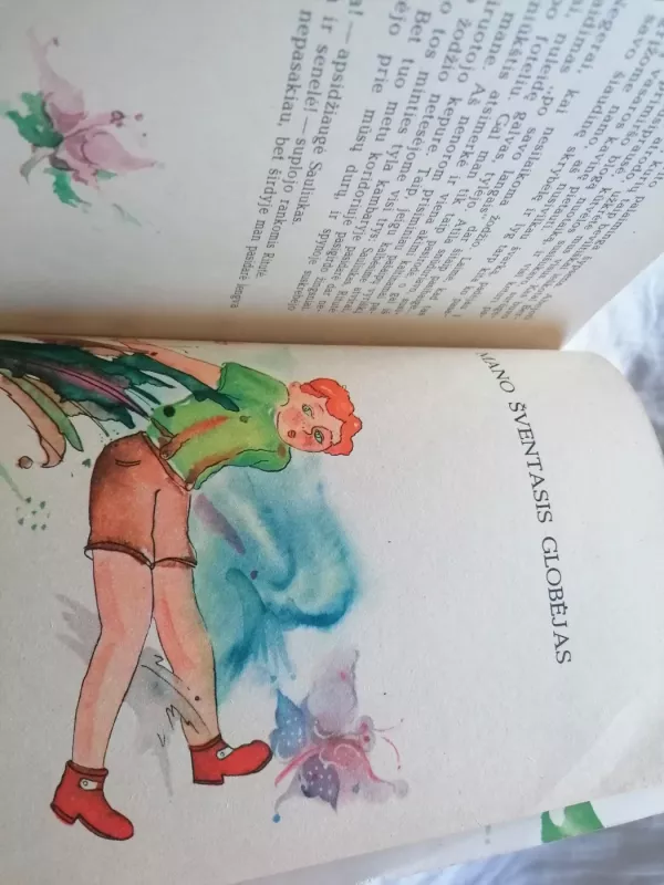 Miško gražuolė - Aleksas Baltrūnas, knyga 5