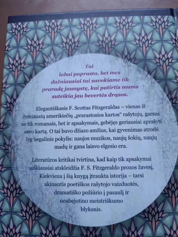 Sugautas šešėlis - Francis Scott Fitzgerald, knyga 4