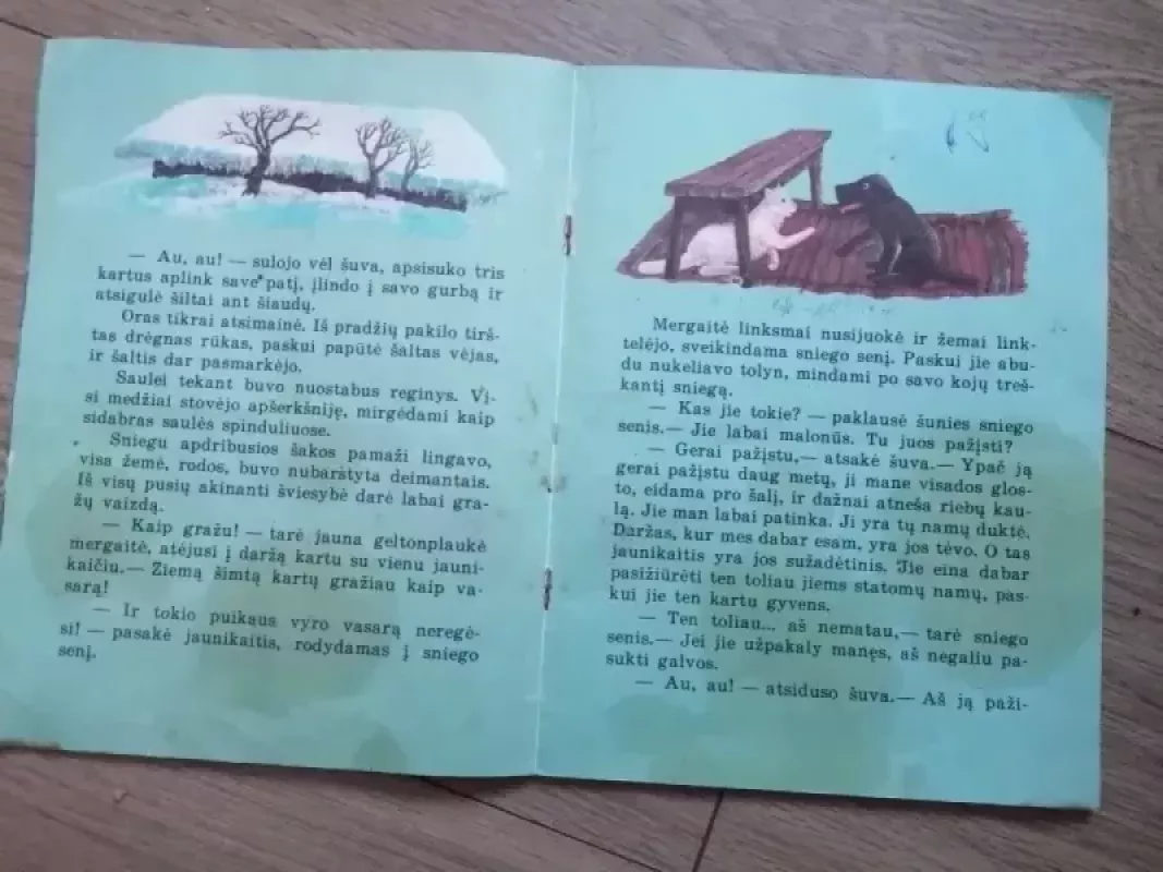 Sniego senis - Hansas Kristianas Andersenas, knyga 3