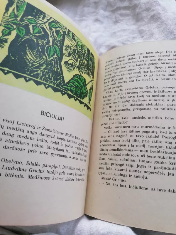 Mikė melagėlis - Motiejus Valančius, knyga 5