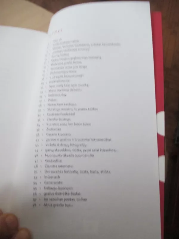 Štai - Agnė Žagrakalytė, knyga 5