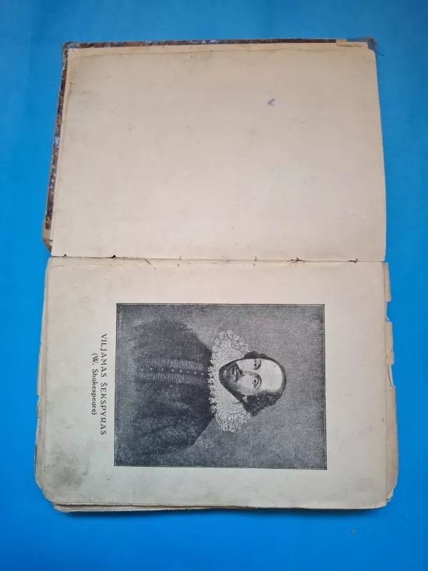 sekspyro rastai jaunimui - lembai broliai, knyga 4