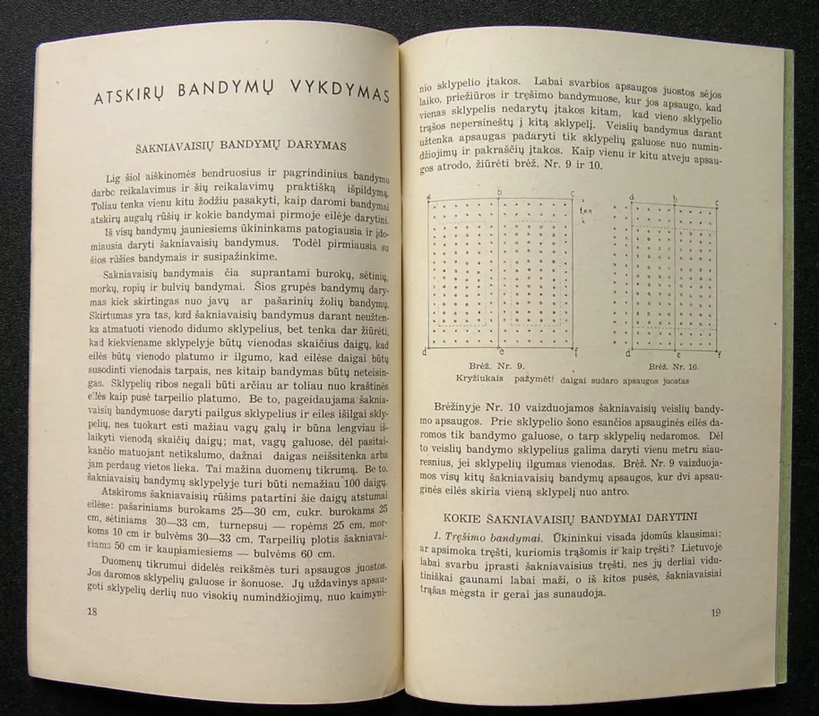 Lauko bandymai - Balys Šabanavičius, knyga 4