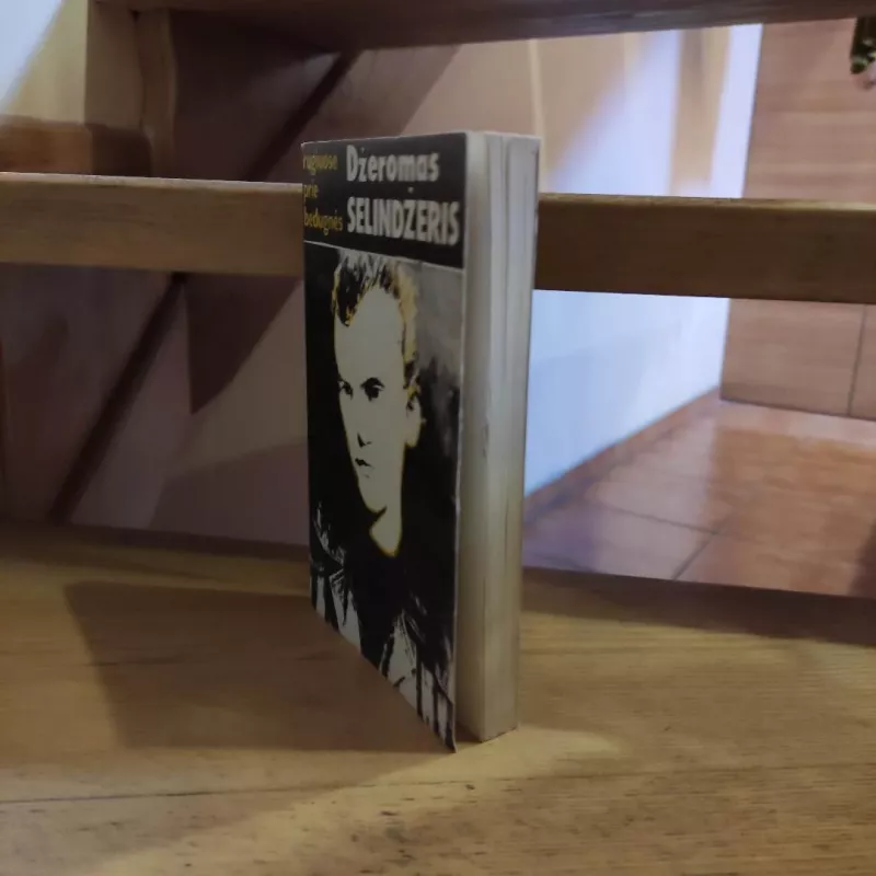 Rugiuose prie bedugnės - Džeromas Selindžeris, knyga 5