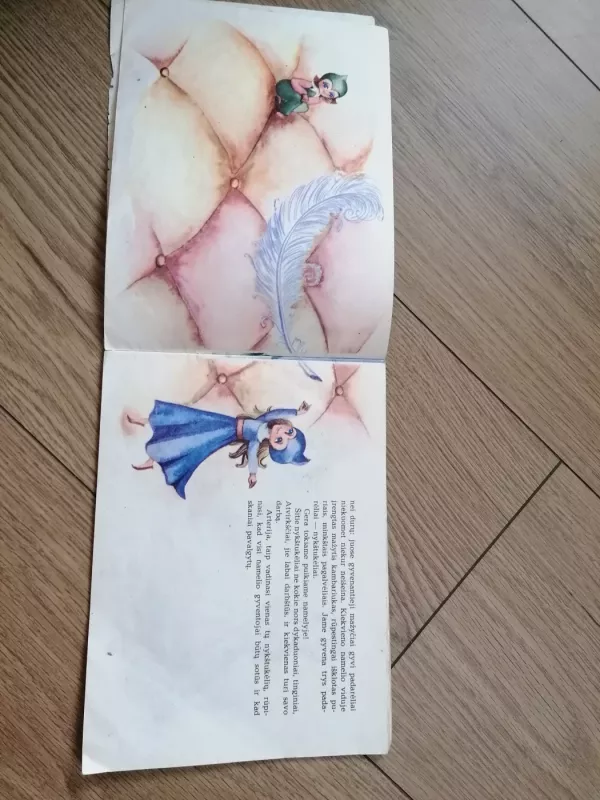 Dantukų miestelis - A Vagnorienė, knyga 3