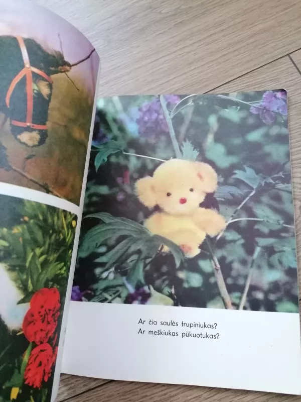 Padaužiukai - Stasė Samulevičienė, knyga 5