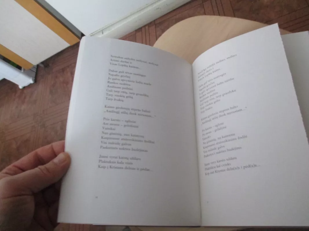 Giedanti gaidžio galva - Stasys Eidrigevičius, knyga 6