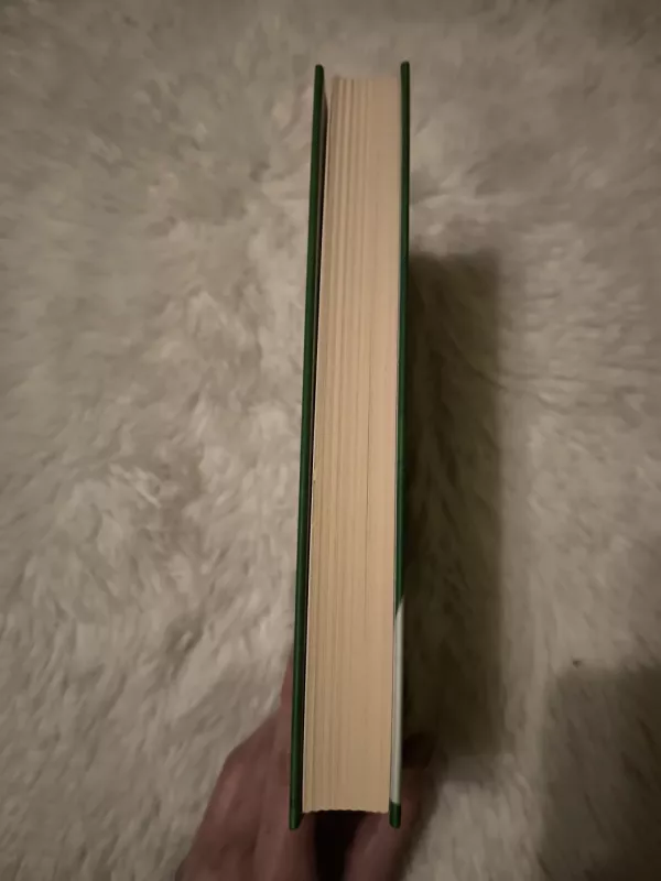 Draugo laiškai: psichologinės pagalbos knyga jaunimui - Autorių Kolektyvas, knyga 4