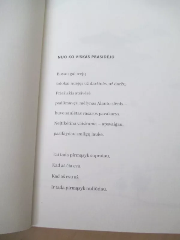 Paliktos paletes - Liudvikas Jakimavičius, knyga 6