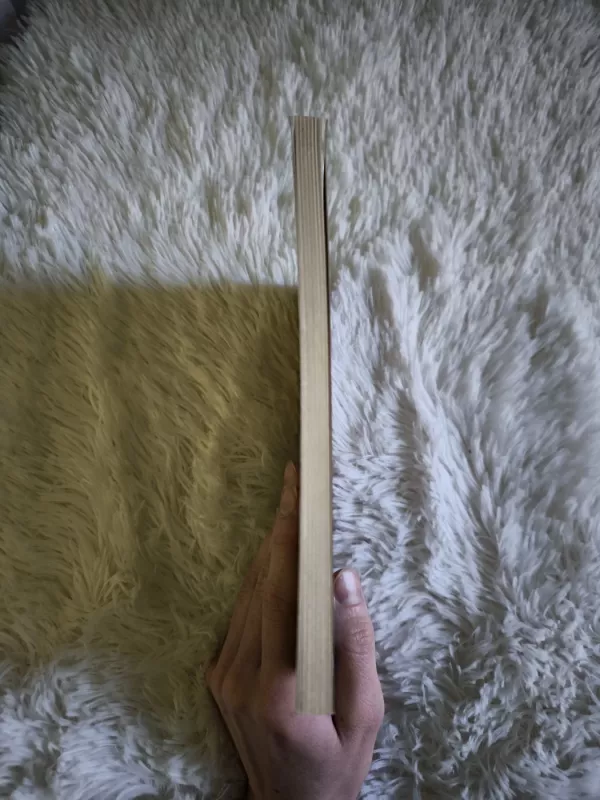 Nuo Roko iki Abelio: dviejų romanas - Edmundas Janušaitis, knyga 4