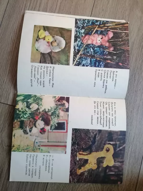 Ozorniki Samuleviciene - Stasė Samulevičienė, knyga 4