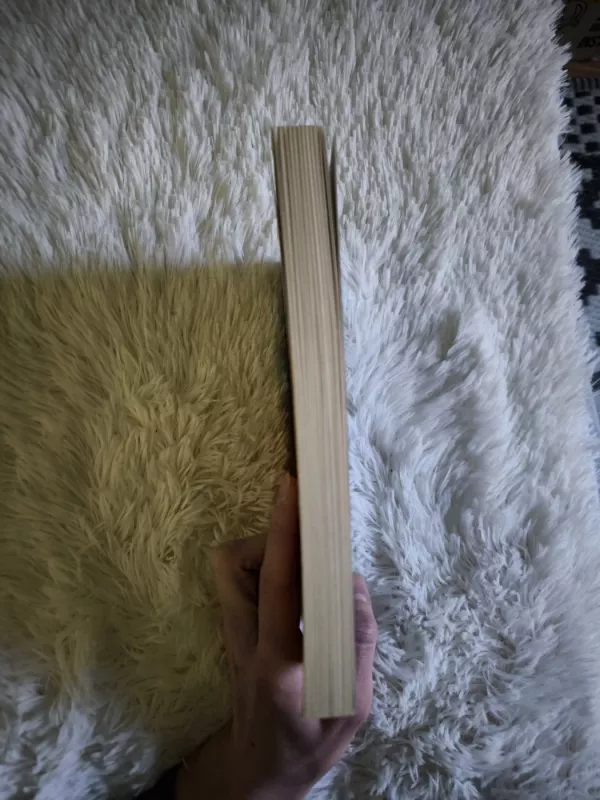 16 gydančių istorijų: kai gyvenimas užknisa - Rasa Borodina, knyga 3