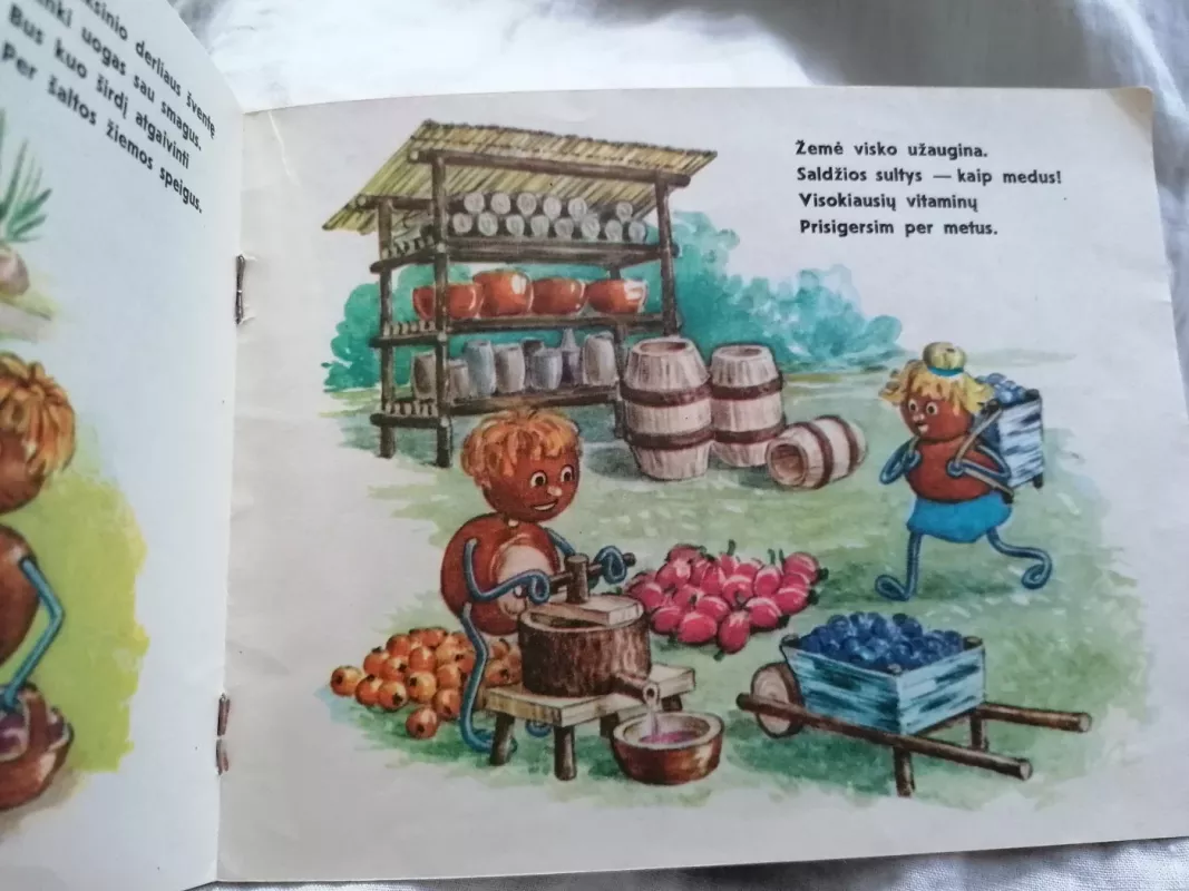 Kitis ir Kitė - Irena Geiling, knyga 5