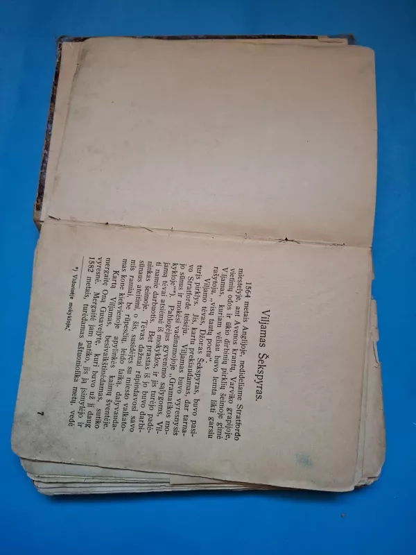 sekspyro rastai jaunimui - lembai broliai, knyga 5