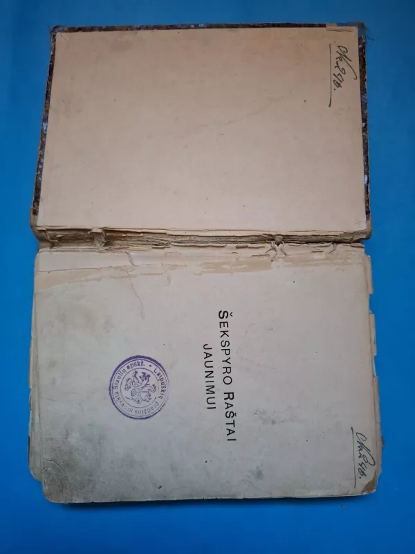 sekspyro rastai jaunimui - lembai broliai, knyga 3