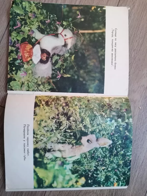 Ozorniki Samuleviciene - Stasė Samulevičienė, knyga 6