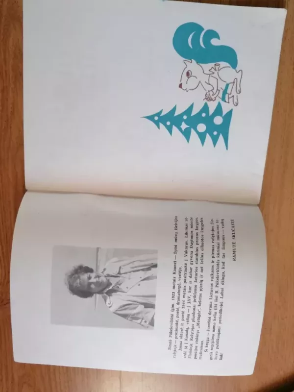 Kalėdų dovana - Birutė Pūkelevičiūtė, knyga 5