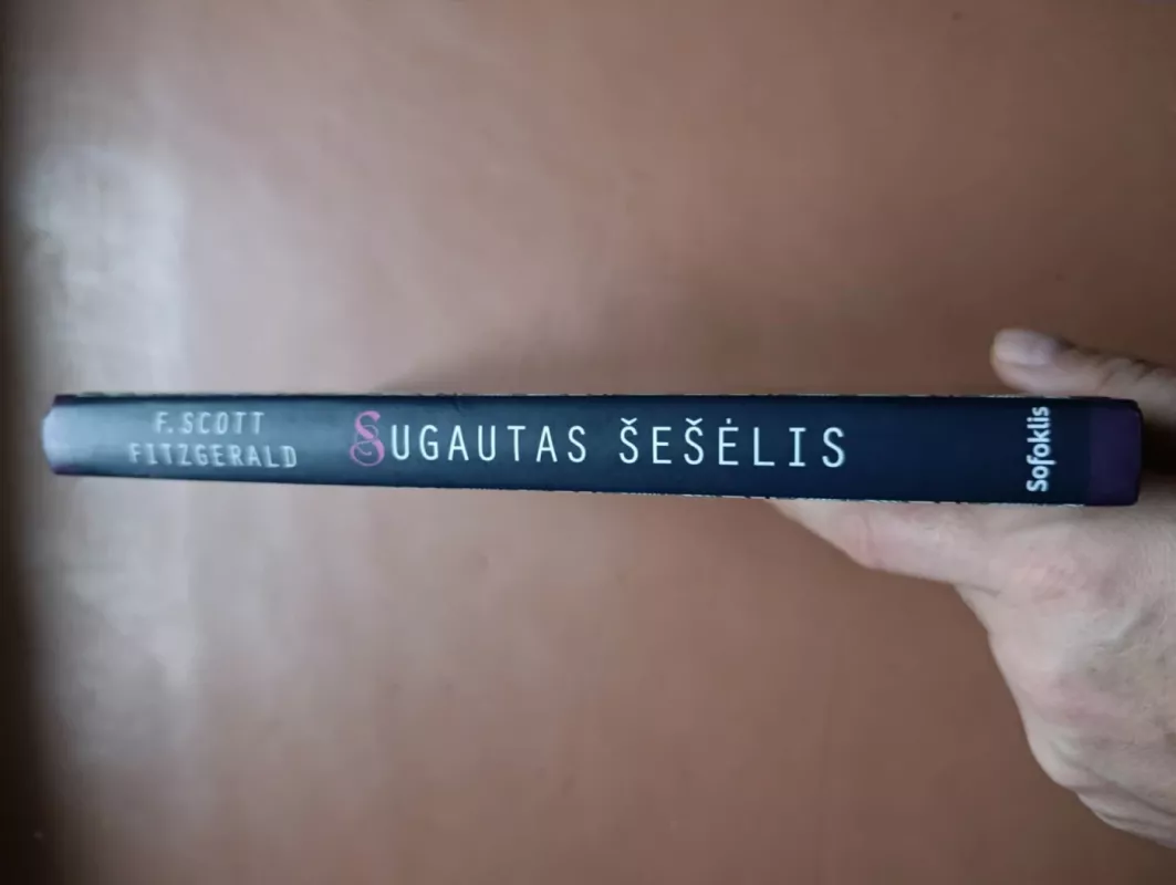 Sugautas šešėlis - Francis Scott Fitzgerald, knyga 3