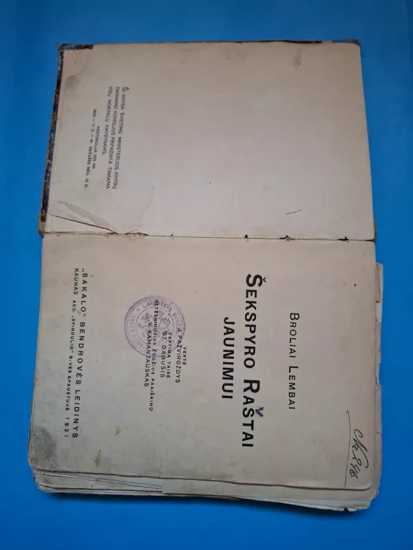 sekspyro rastai jaunimui - lembai broliai, knyga 6