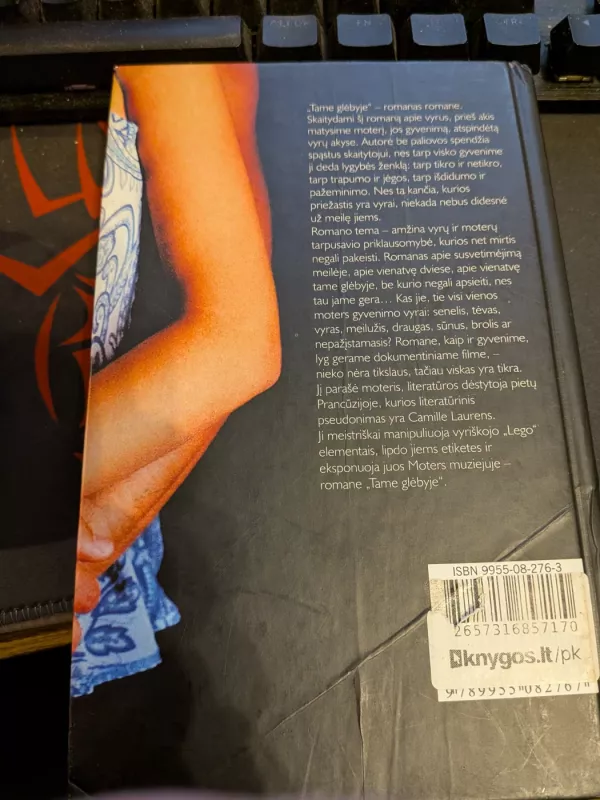 Tame glėbyje - Camille Laurens, knyga 3