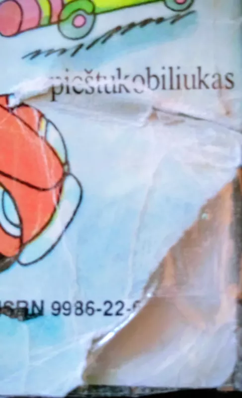 Kačių šeimyna keliauja - Richard Scarry, knyga 5