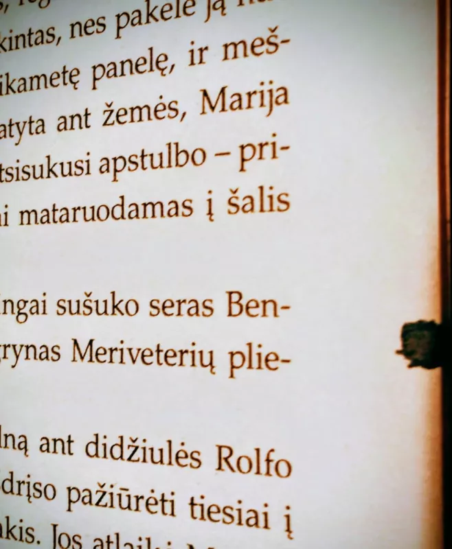 Baltasis Arkliukas - Elizabeth Goudge, knyga 4