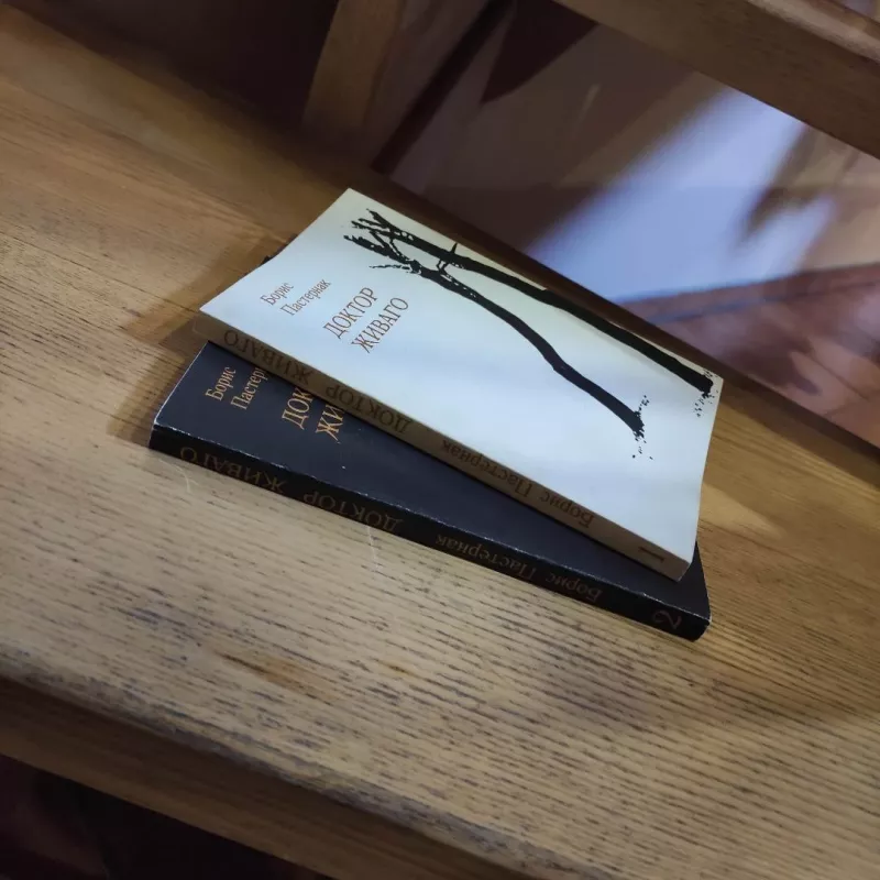 Doktor Zhivago - Boris Pasternak, knyga 4