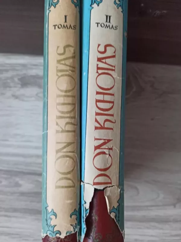 Don Kichotas (I-II dalys) - Migelis de Servatesas, knyga 3