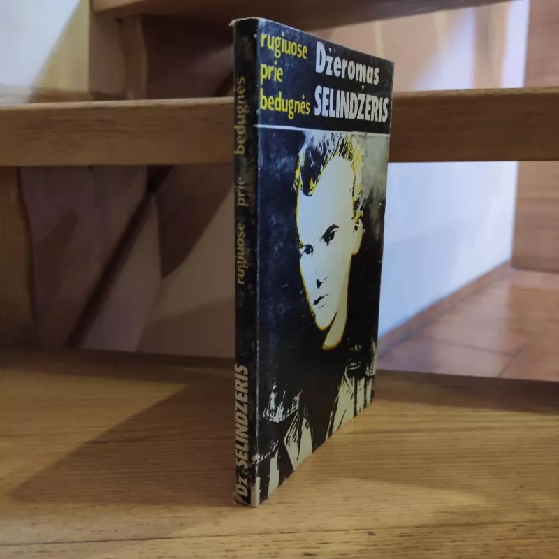 Rugiuose prie bedugnės - Džeromas Selindžeris, knyga 3