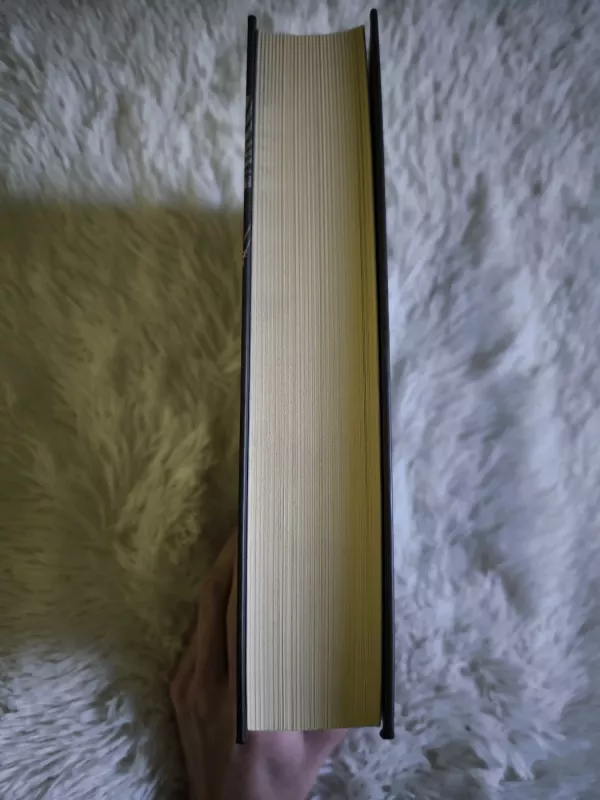 Ar Vokietijai reikia karaliaus - Andreas Eschbach, knyga 4