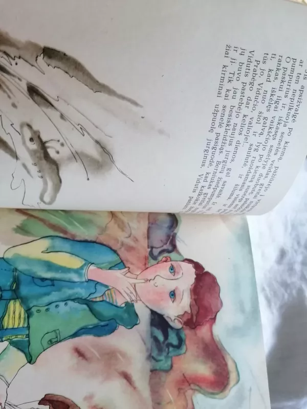 Miško gražuolė - Aleksas Baltrūnas, knyga 4