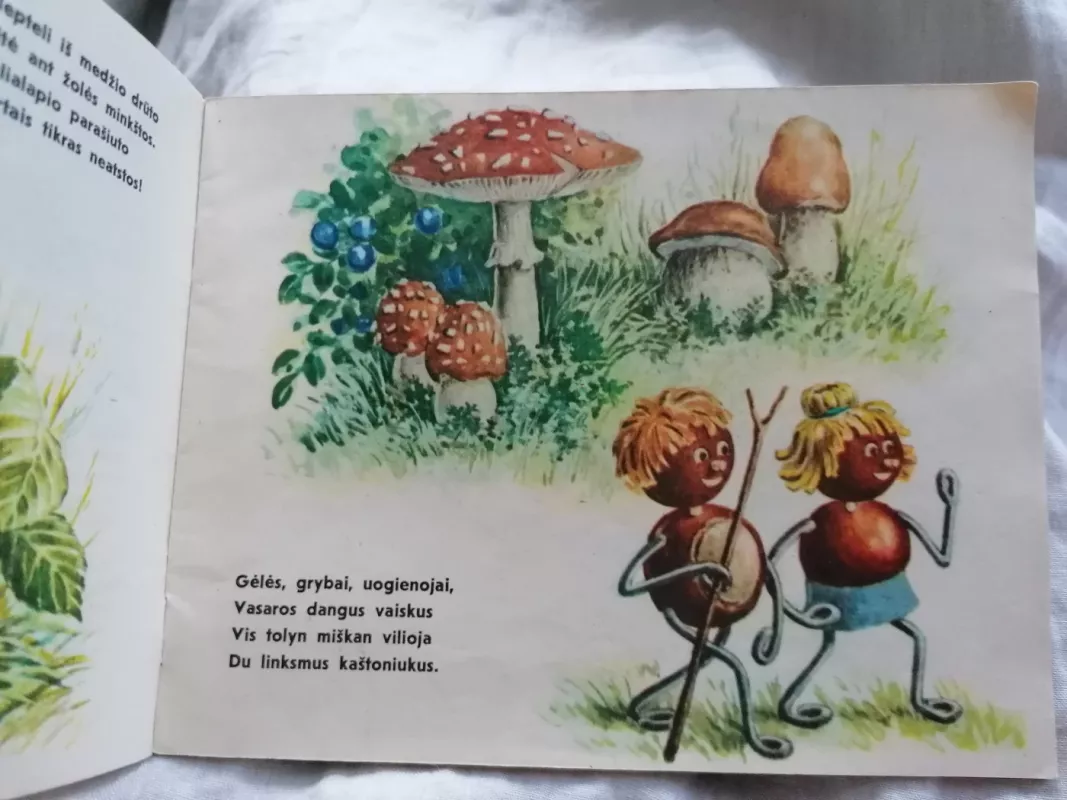 Kitis ir Kitė - Irena Geiling, knyga 4