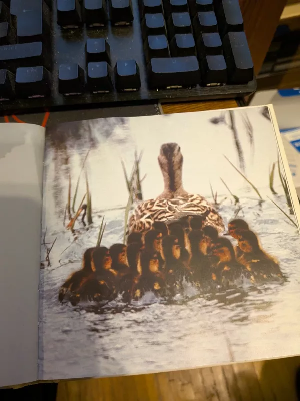 Gyvenimas yra puikus - David Baird, knyga 3