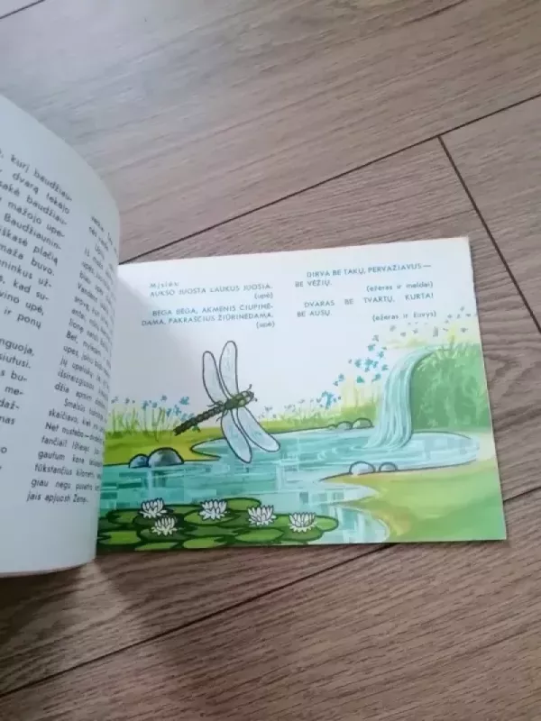 Tikštukas - Vytautas Misevičius, knyga 3